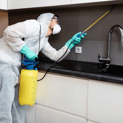 Exclusion Repair in District of Columbia