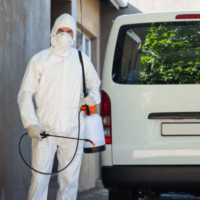 Bed Bug Treatment in District of Columbia