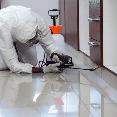 Termite Control in District of Columbia