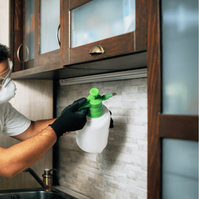 Exclusion Repair in Maryland