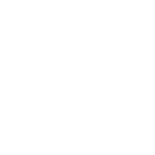 RESET 365