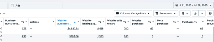 Paid campaign performance