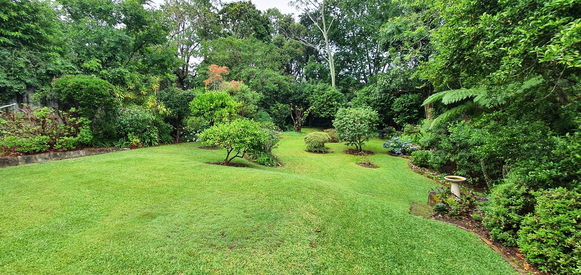 Lawn mowing Strathfield 2