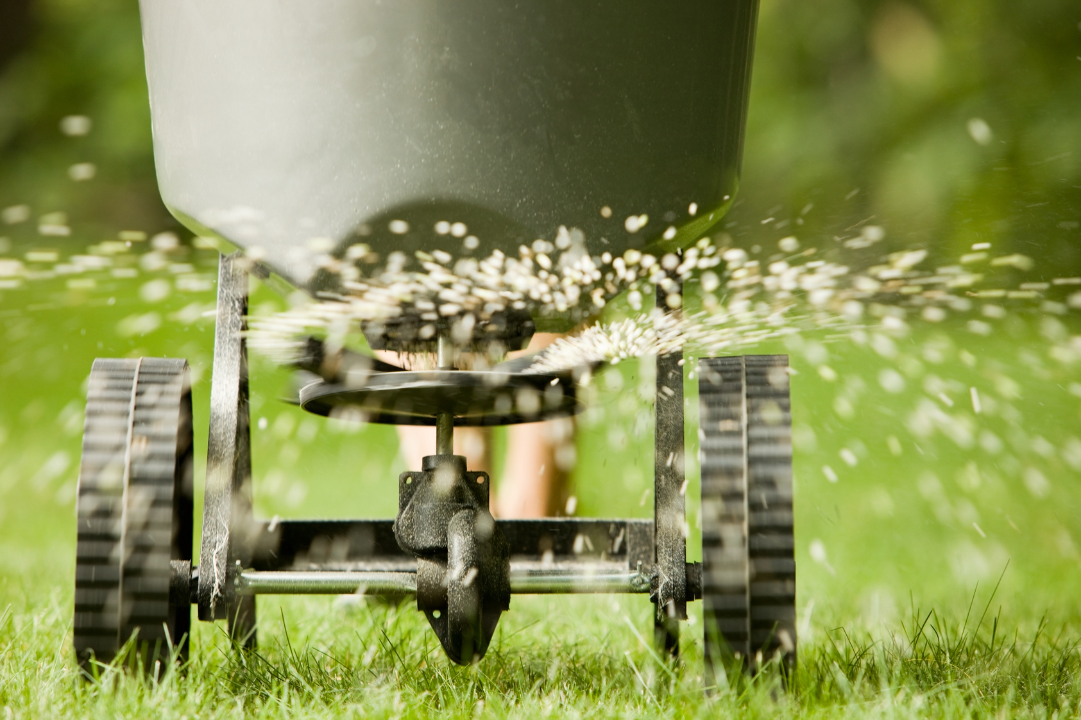lawn feriization