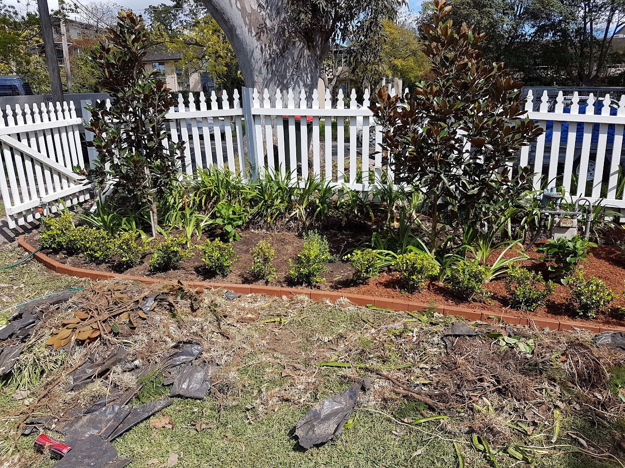 garden bed