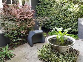 plants