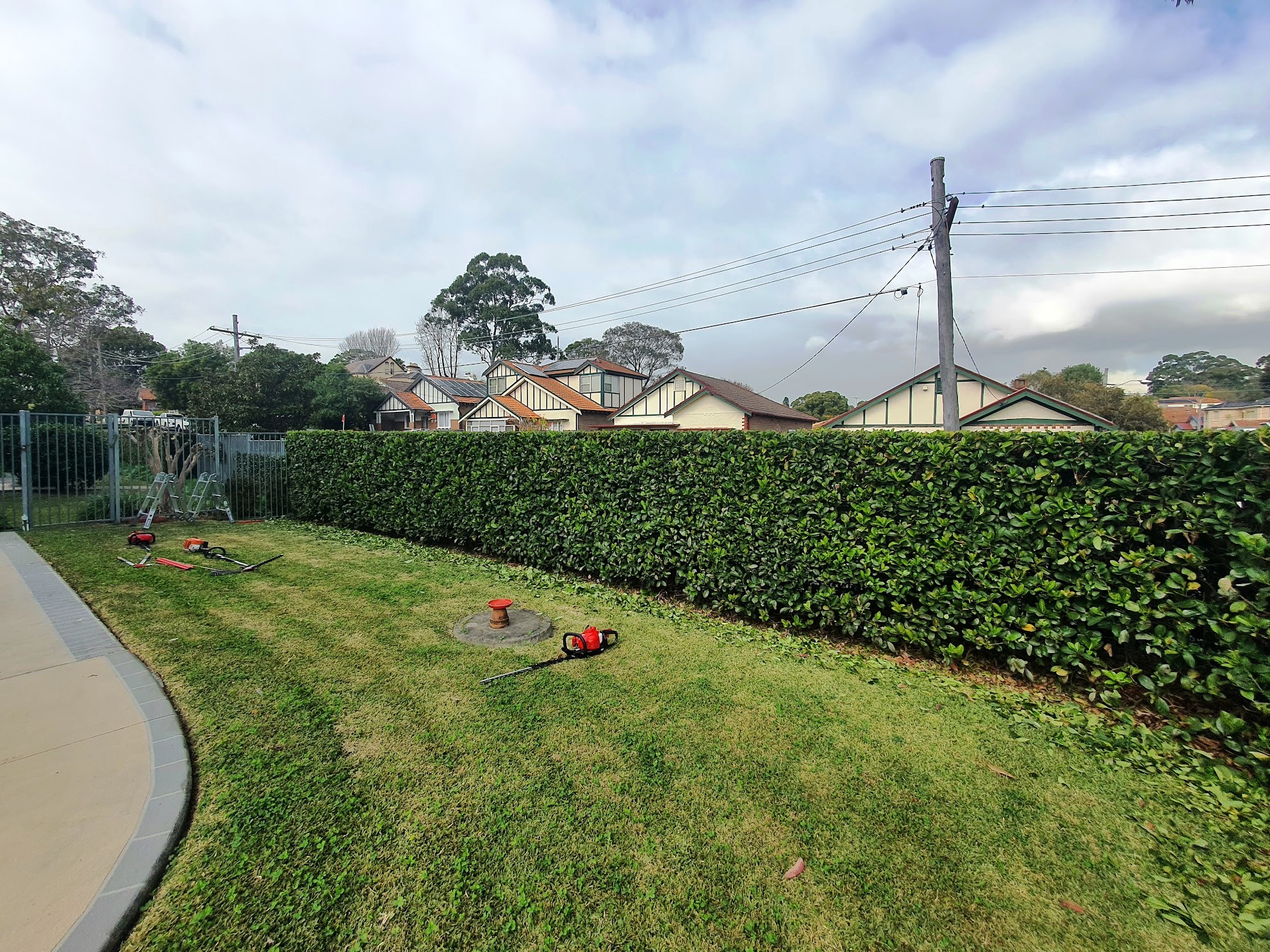 lawns and hedges