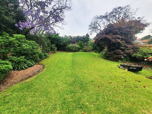 full lawn