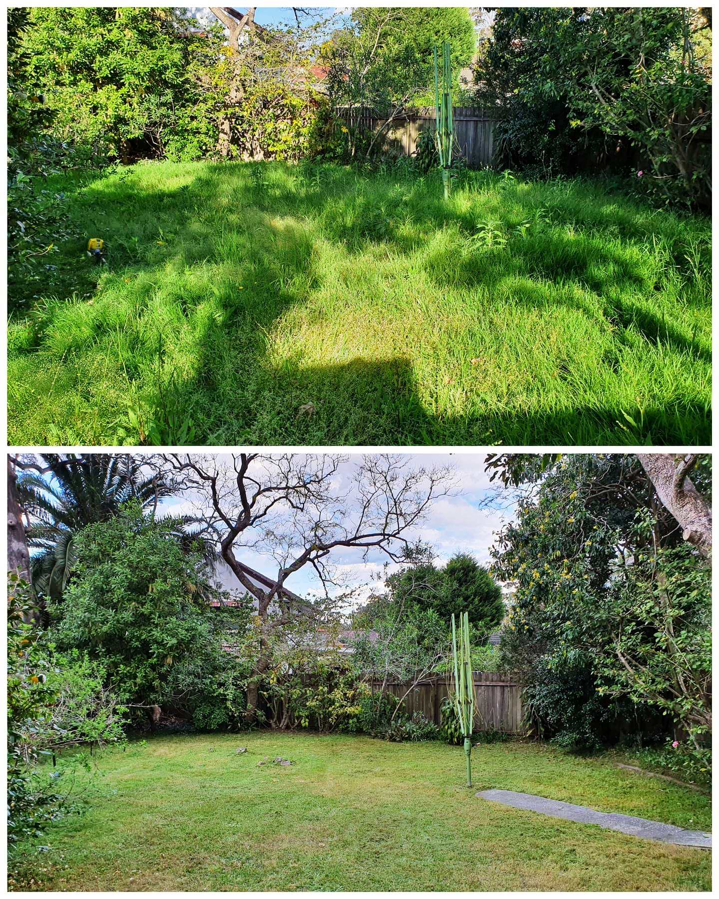 before and after garden photos