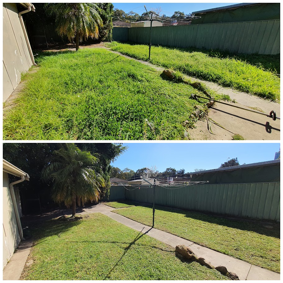 before and after garden photos 2