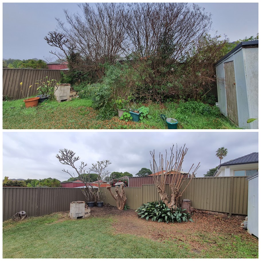 before and after garden photos 3