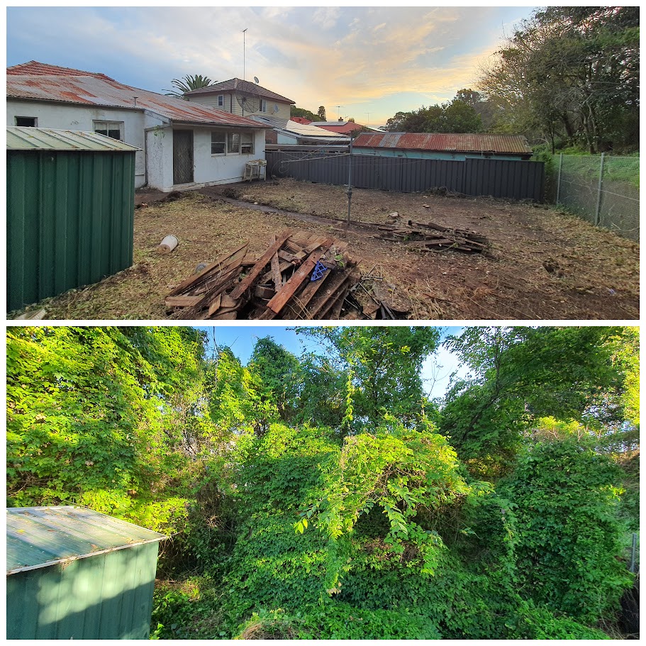 before and after garden photos 4