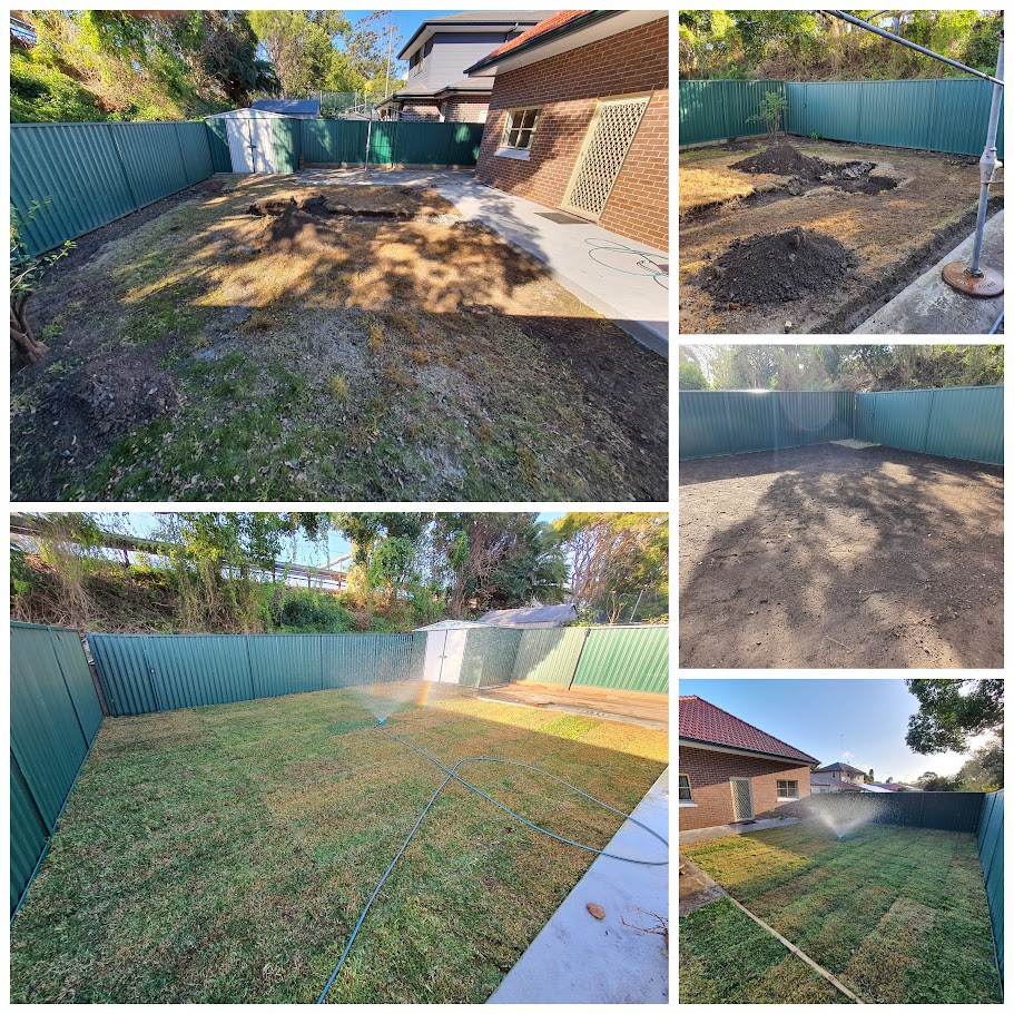 before and after garden photos 6 