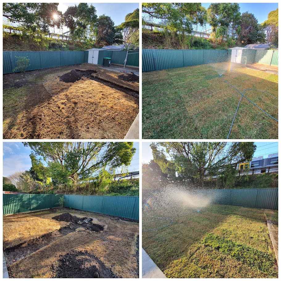 before and after garden photos 8