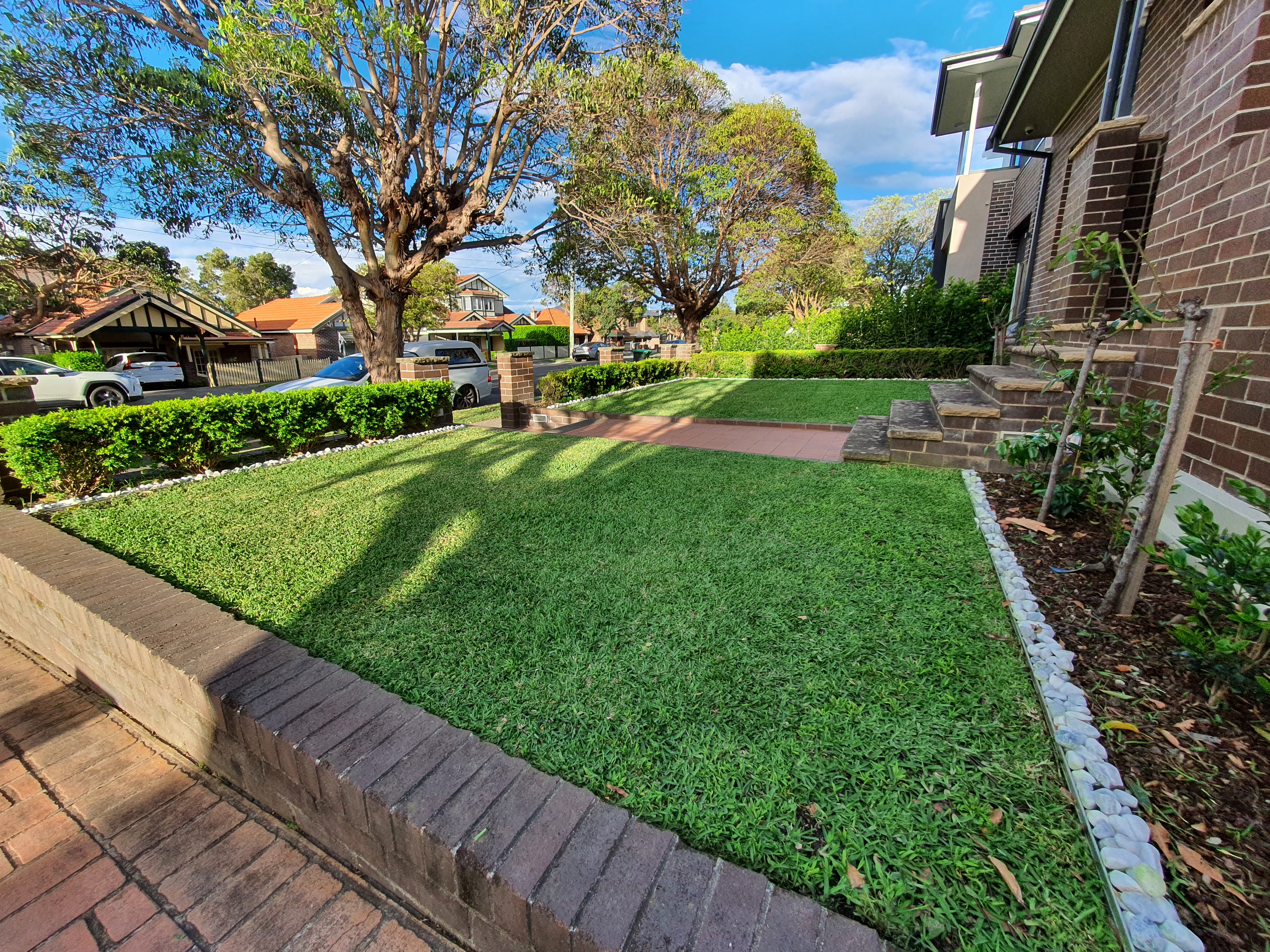 Lawn mowing Strathfield 6
