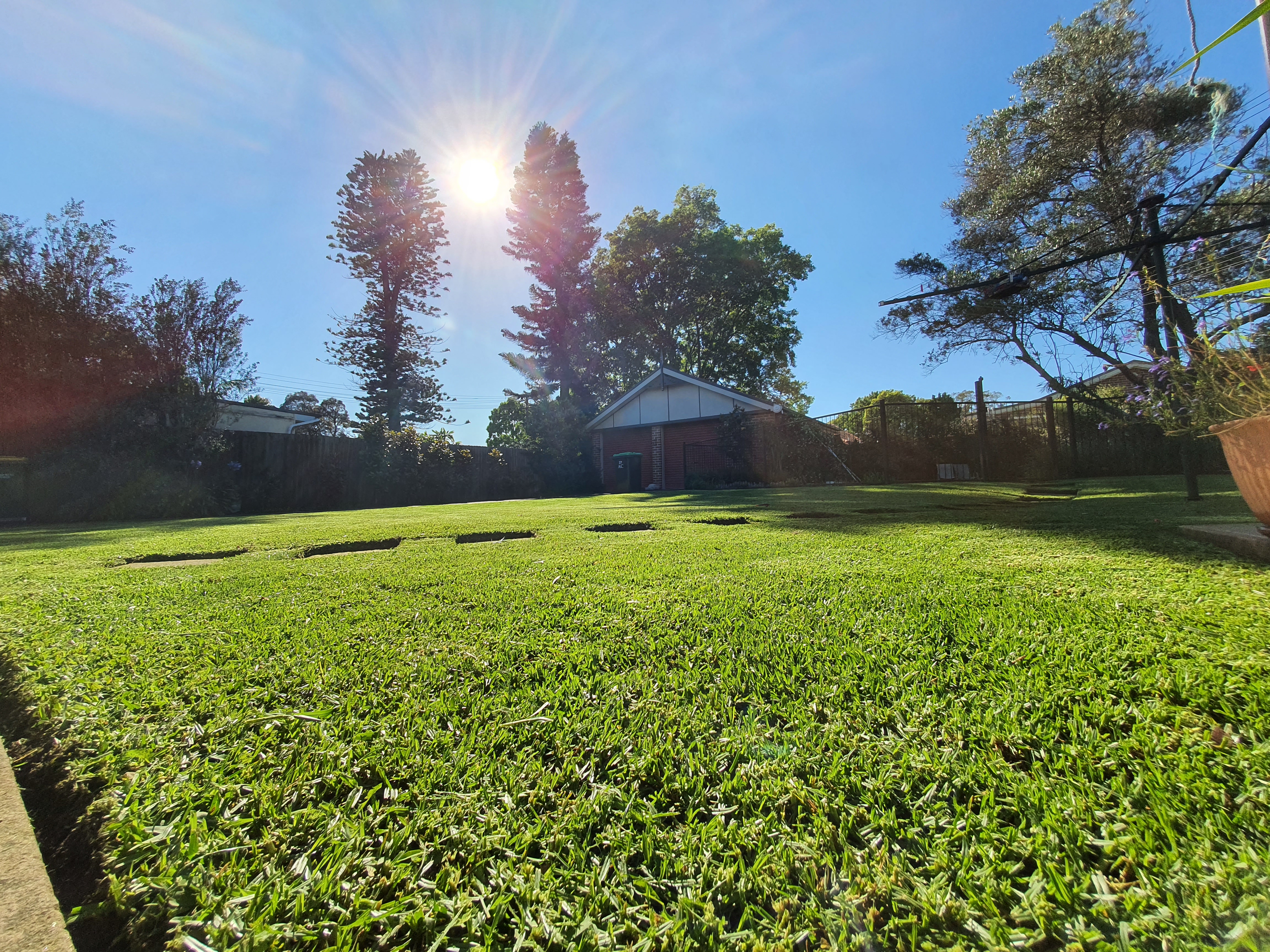 Lawn mowing Canterbury 5