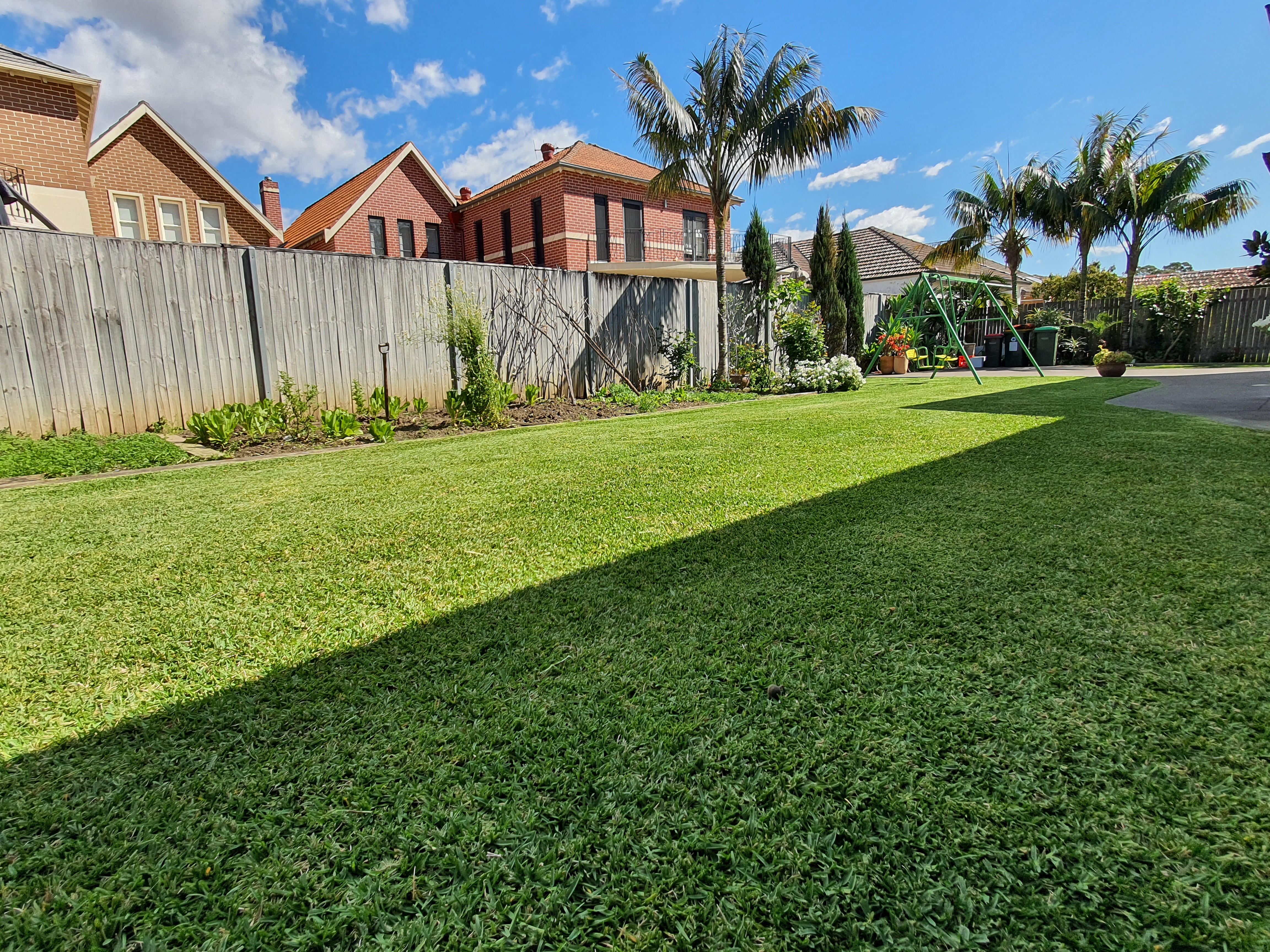 Lawn mowing Fivedock 2