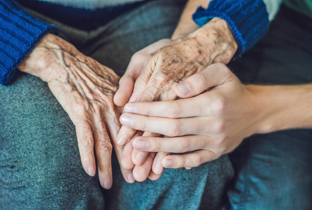 aged care gardening services