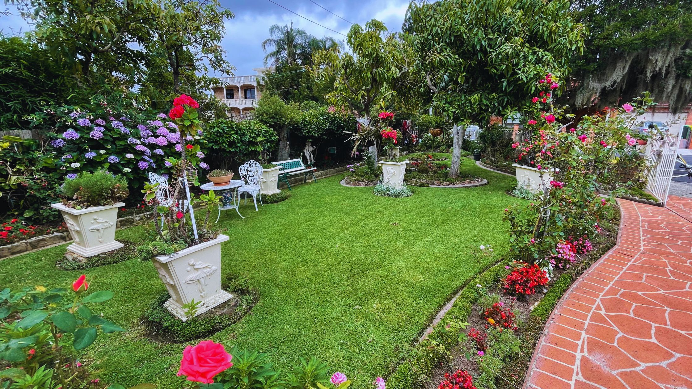Lawn Mowing Marrickville 1