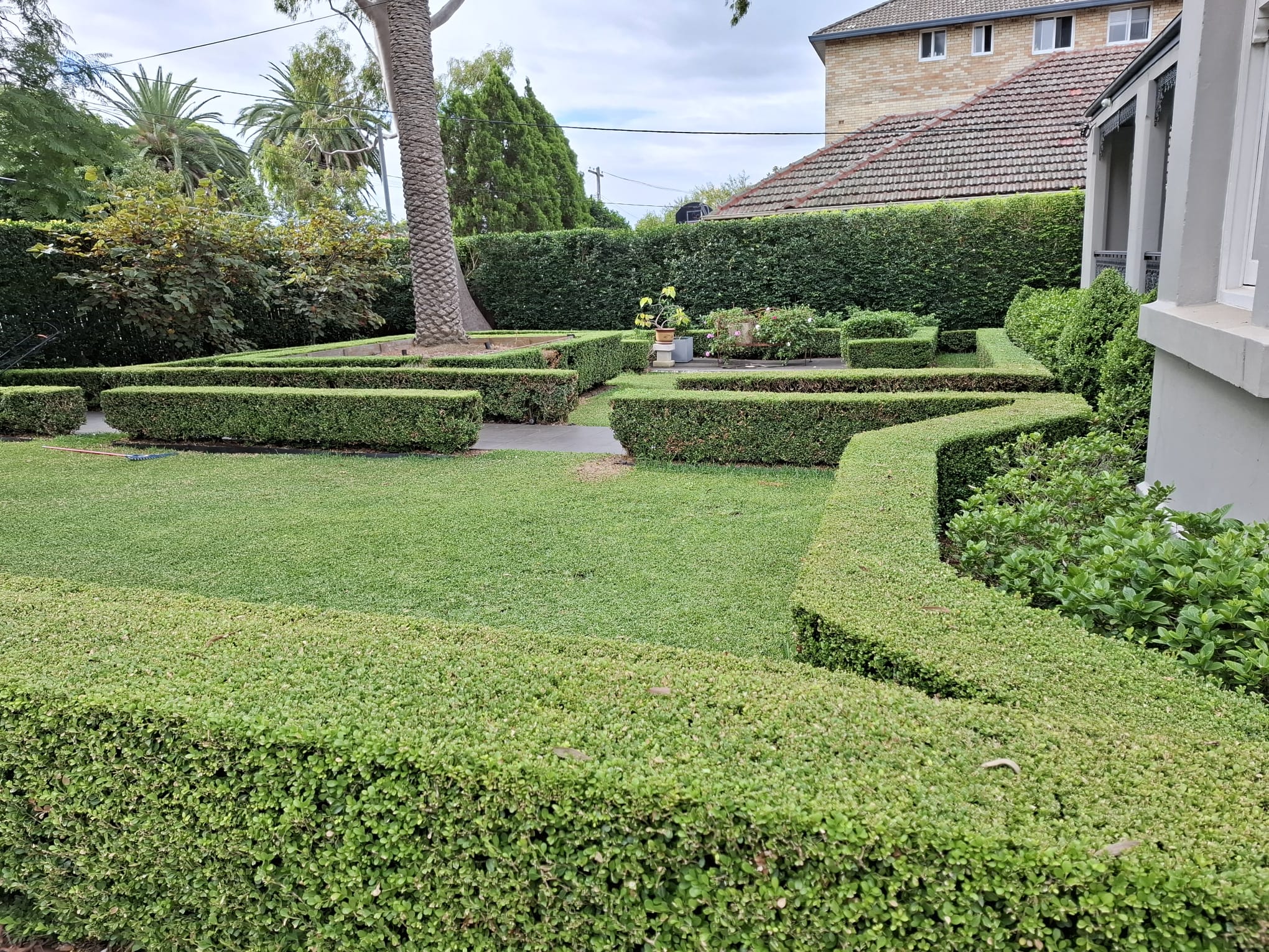 Lawn mowing Concord 4