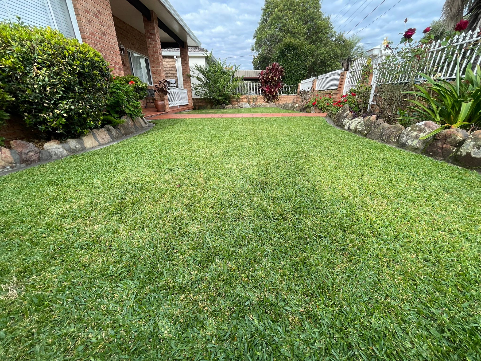 lawn  mowing Ashfield 7