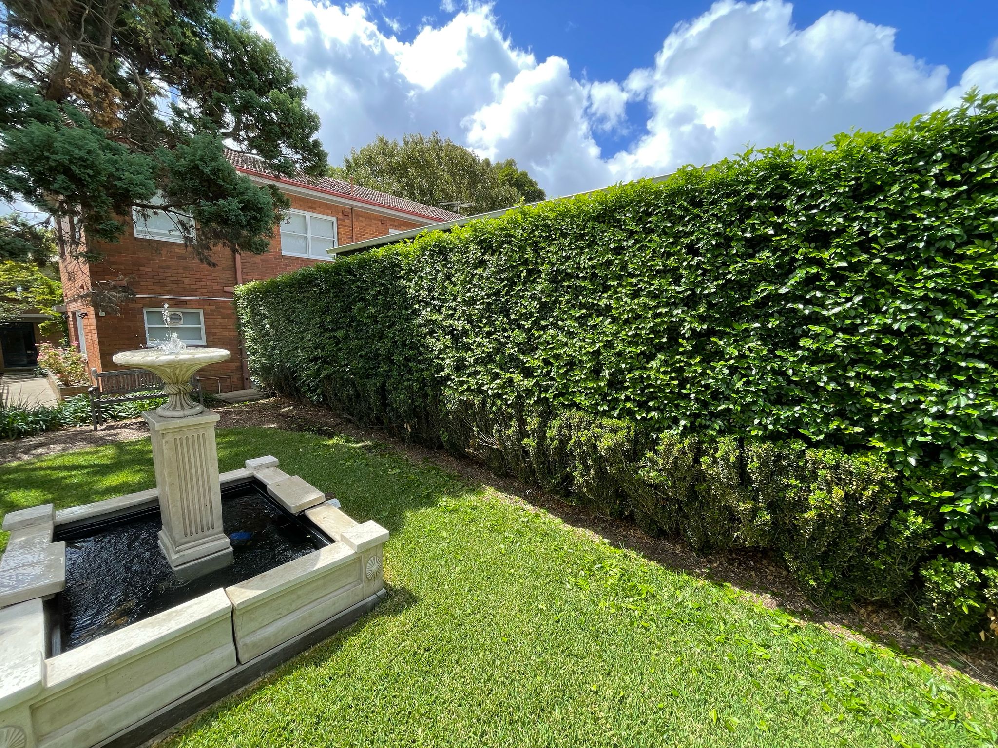 Lawn mowing Strathfield 3