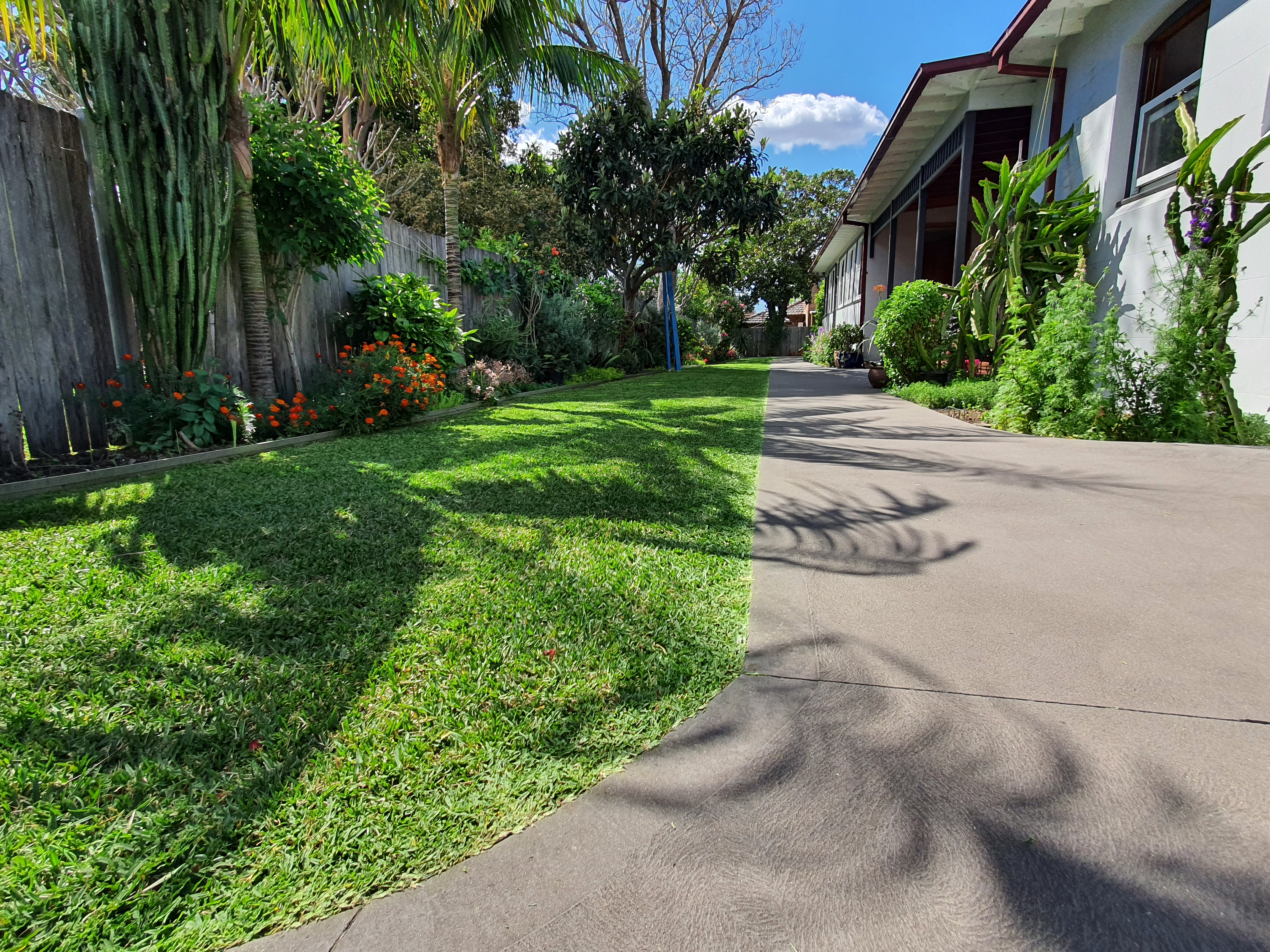 Lawn Mowing Marrickville 7