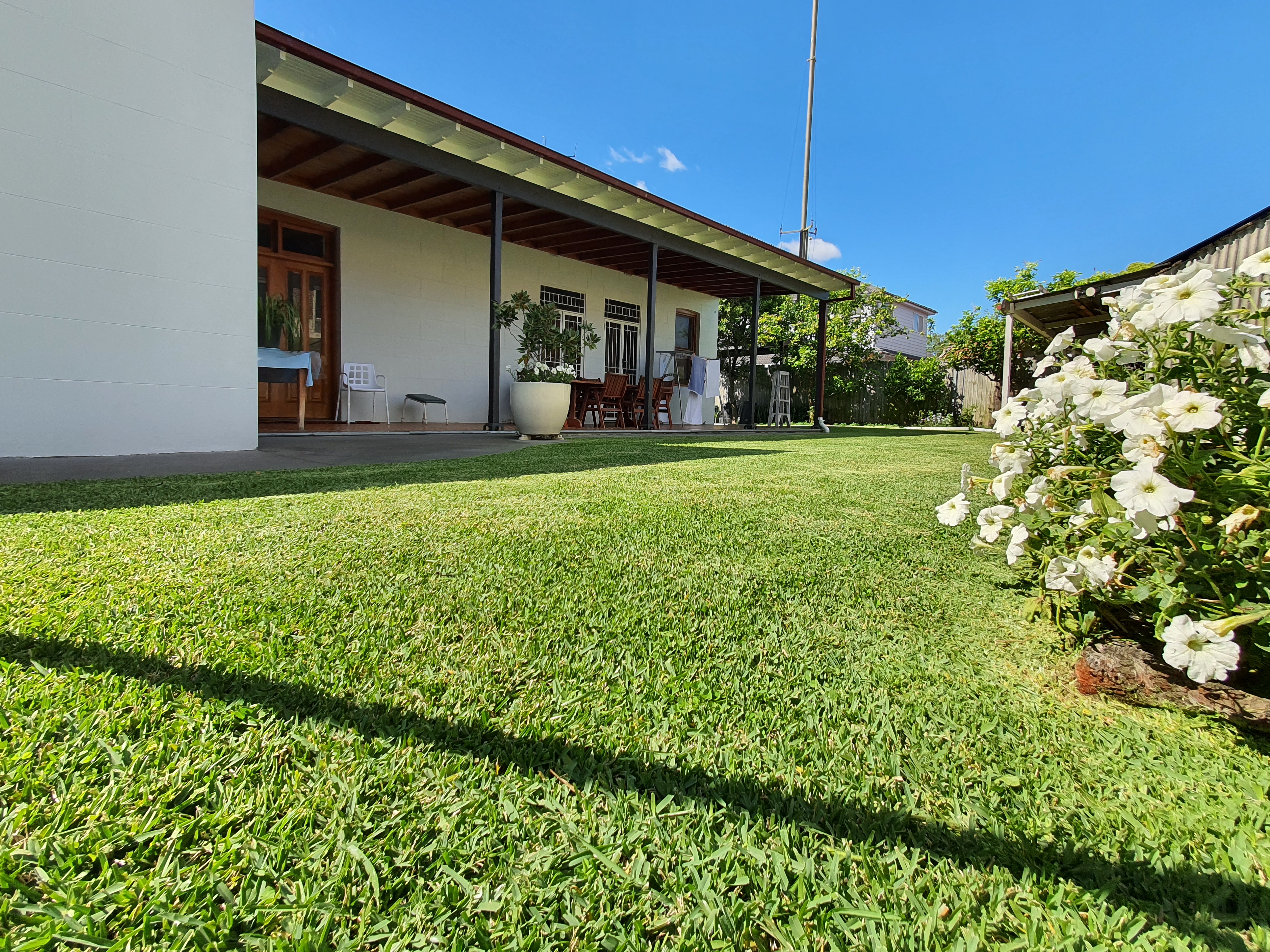 Lawn mowing Strathfield