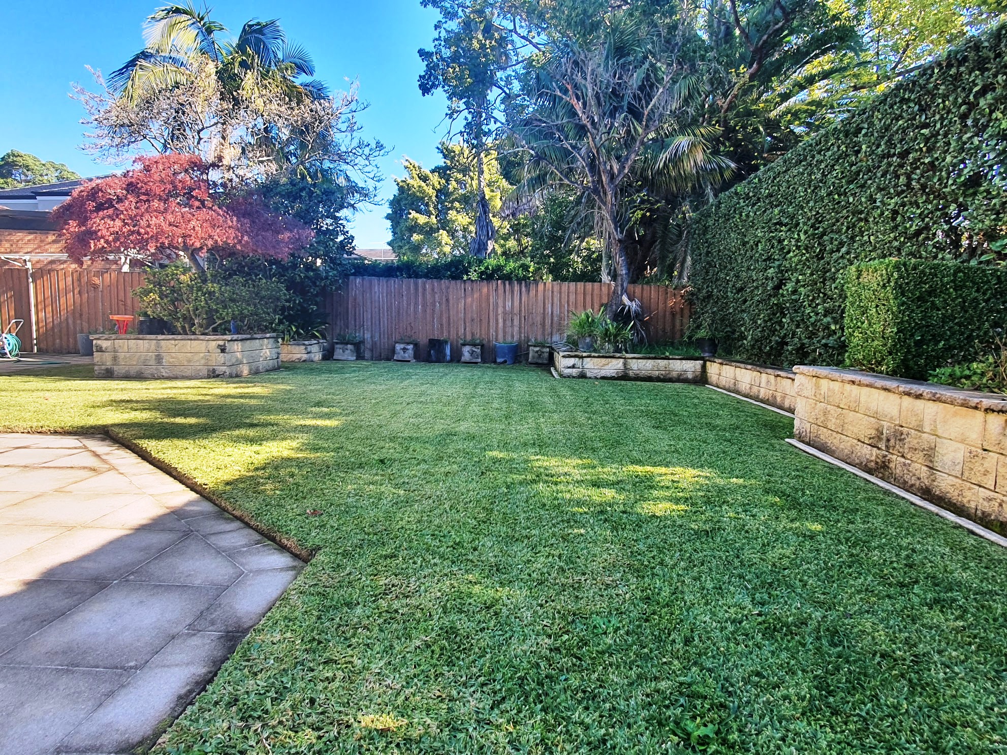 Lawn mowing Canterbury 6
