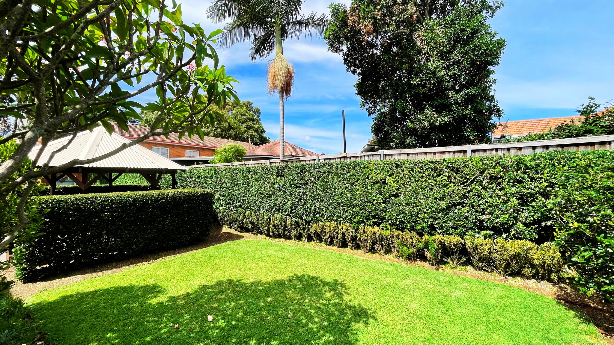 lawn  mowing Ashfield 3