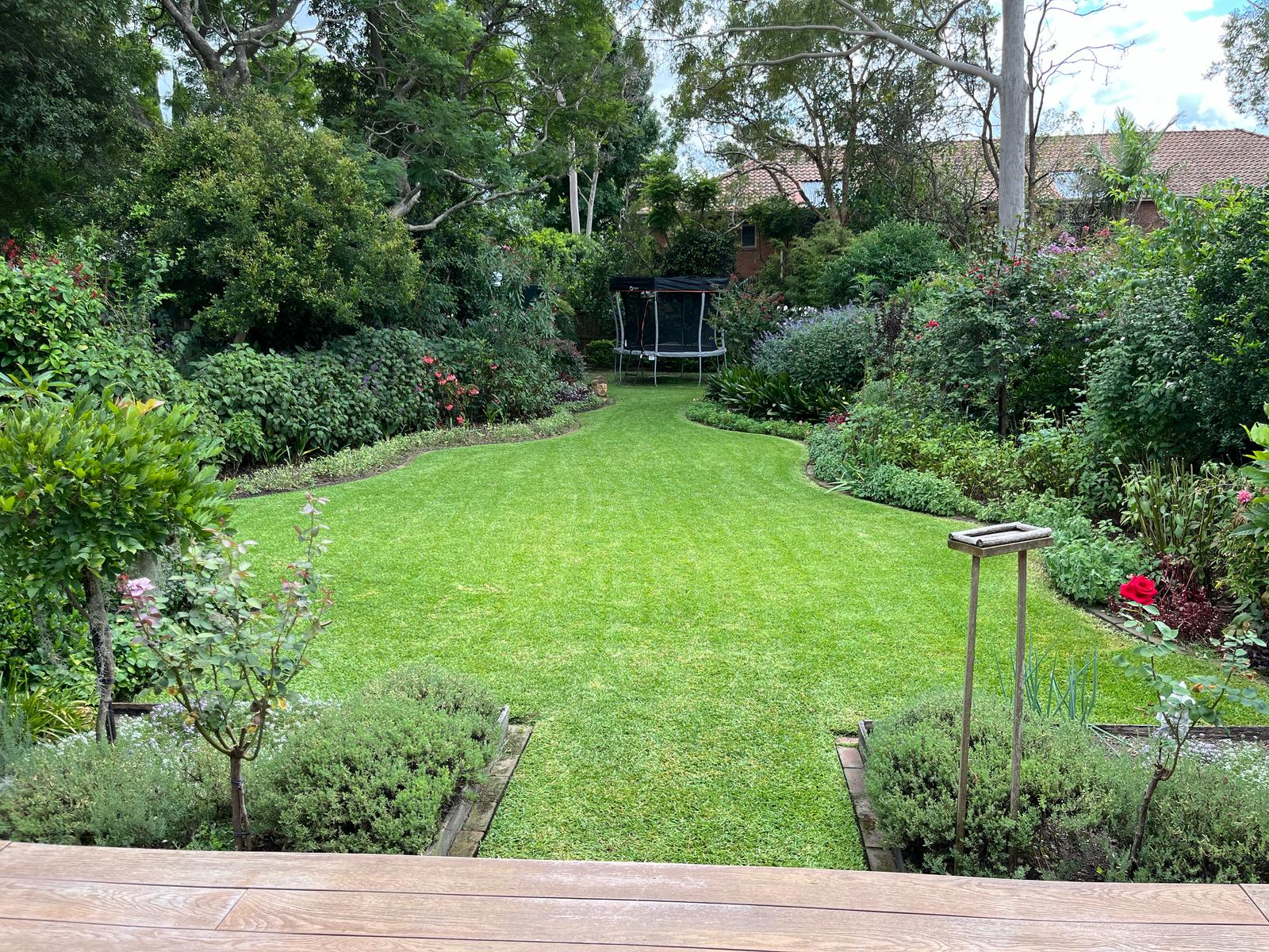 Lawn mowing Burwood 7
