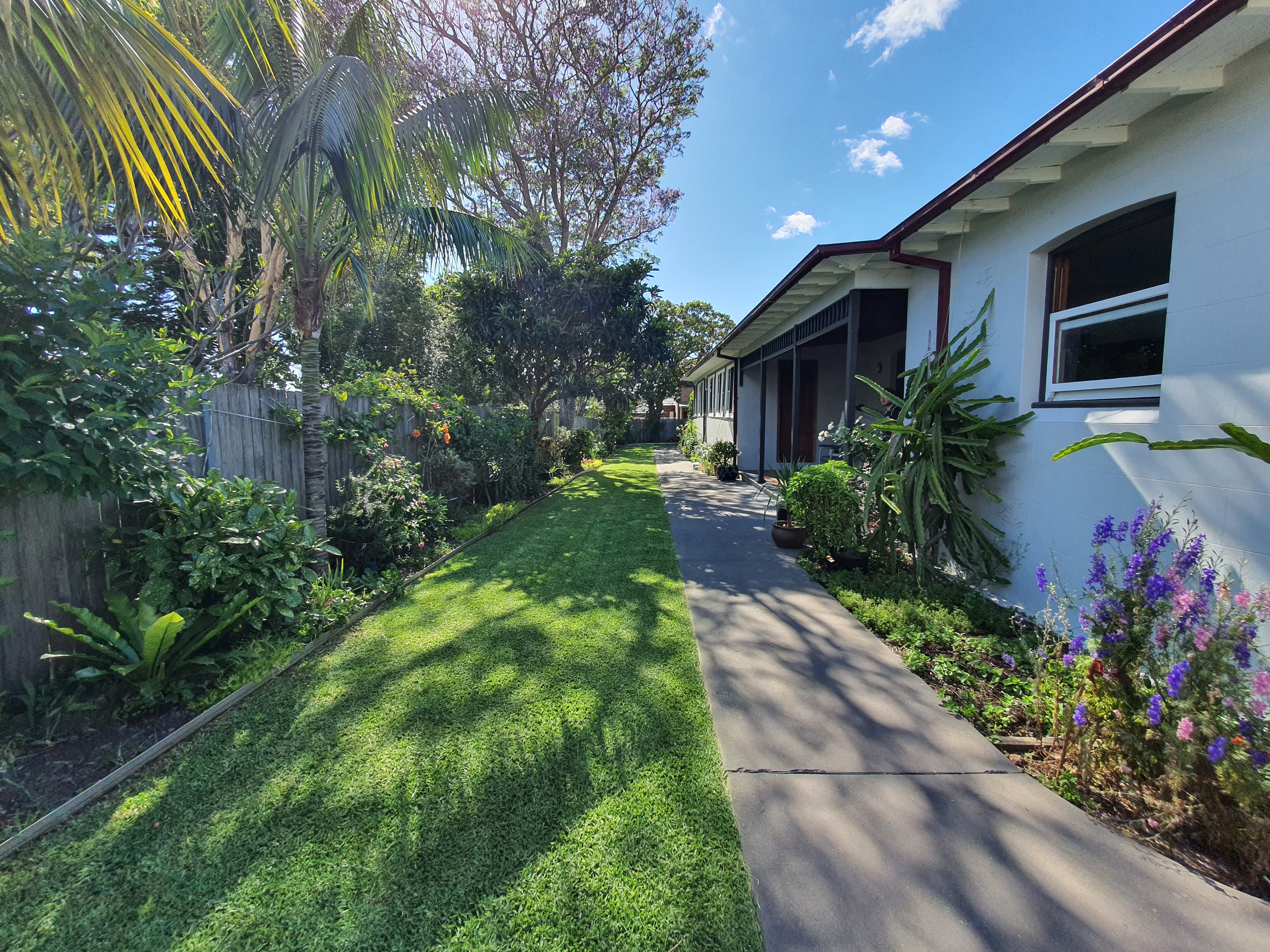 Lawn mowing Burwood 6
