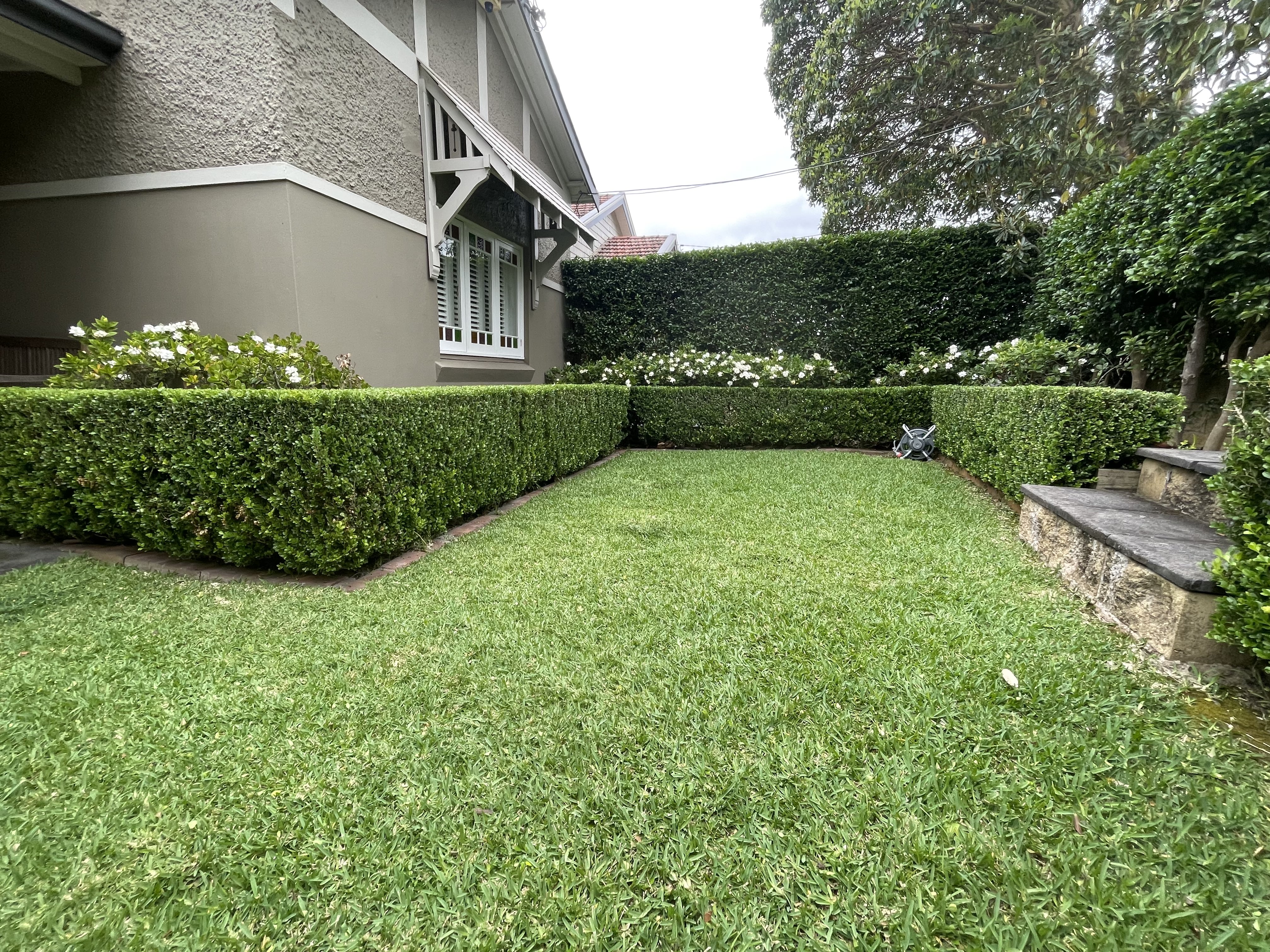 Lawn Mowing Marrickville 4