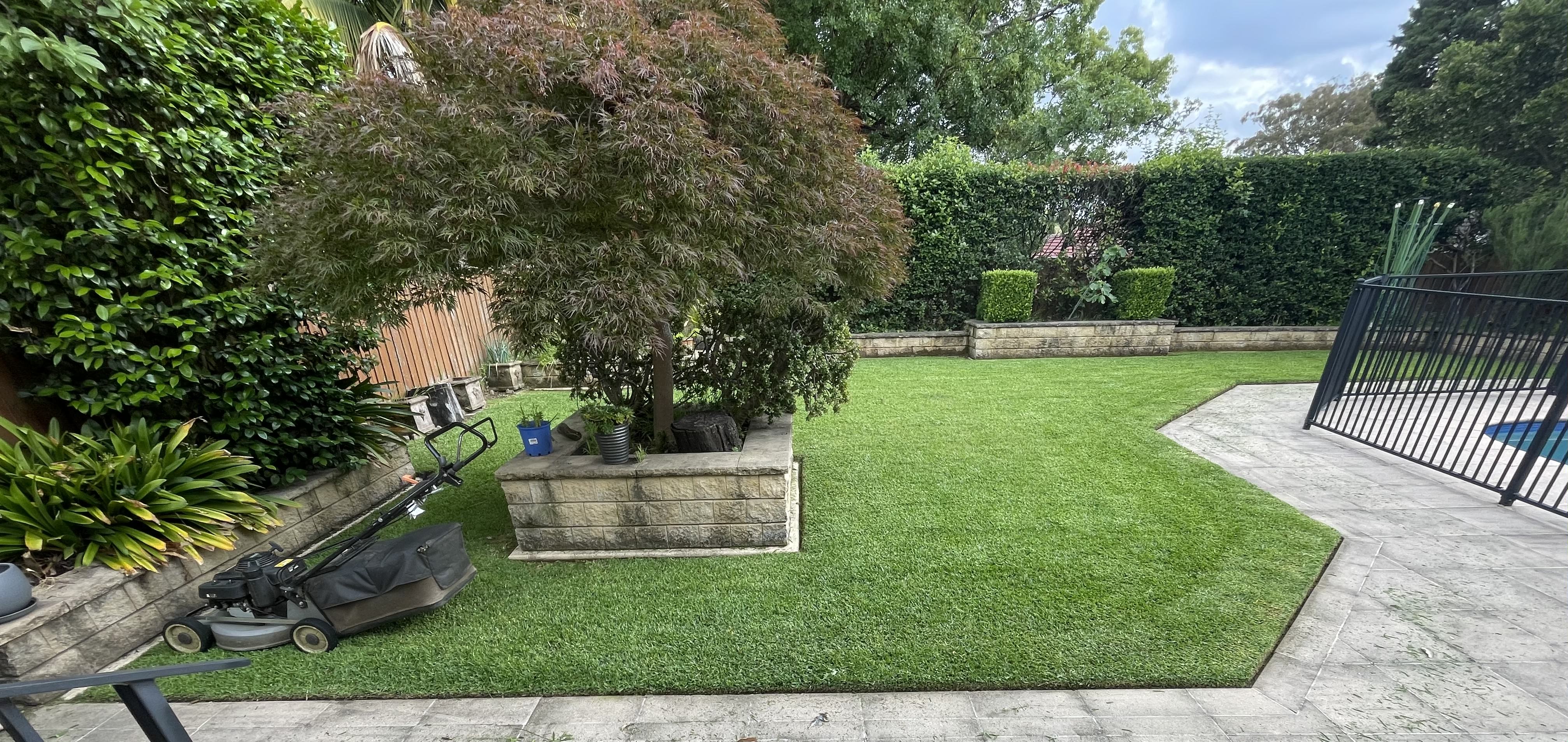 Lawn mowing Petersham 3