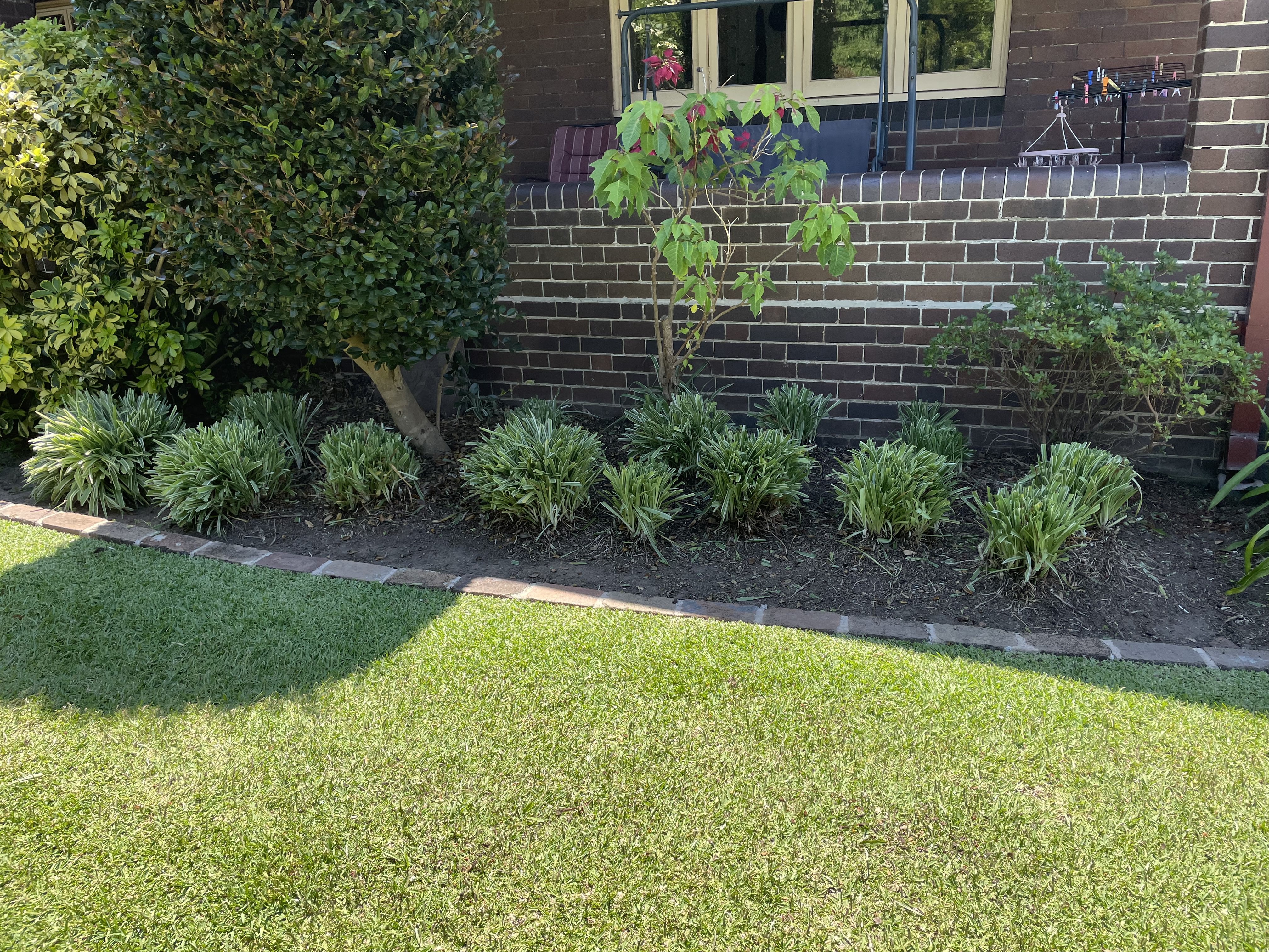 Lawn mowing Canterbury 3