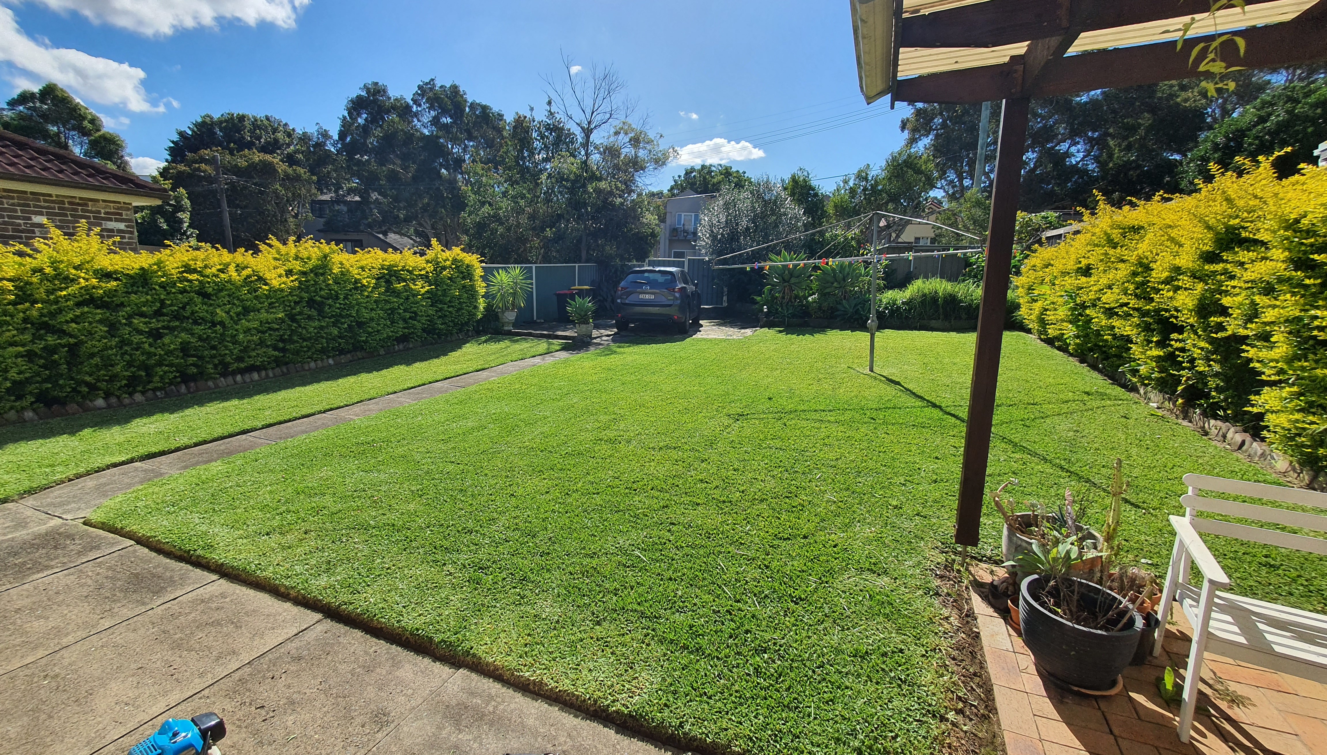 Lawn mowing Fivedock 3