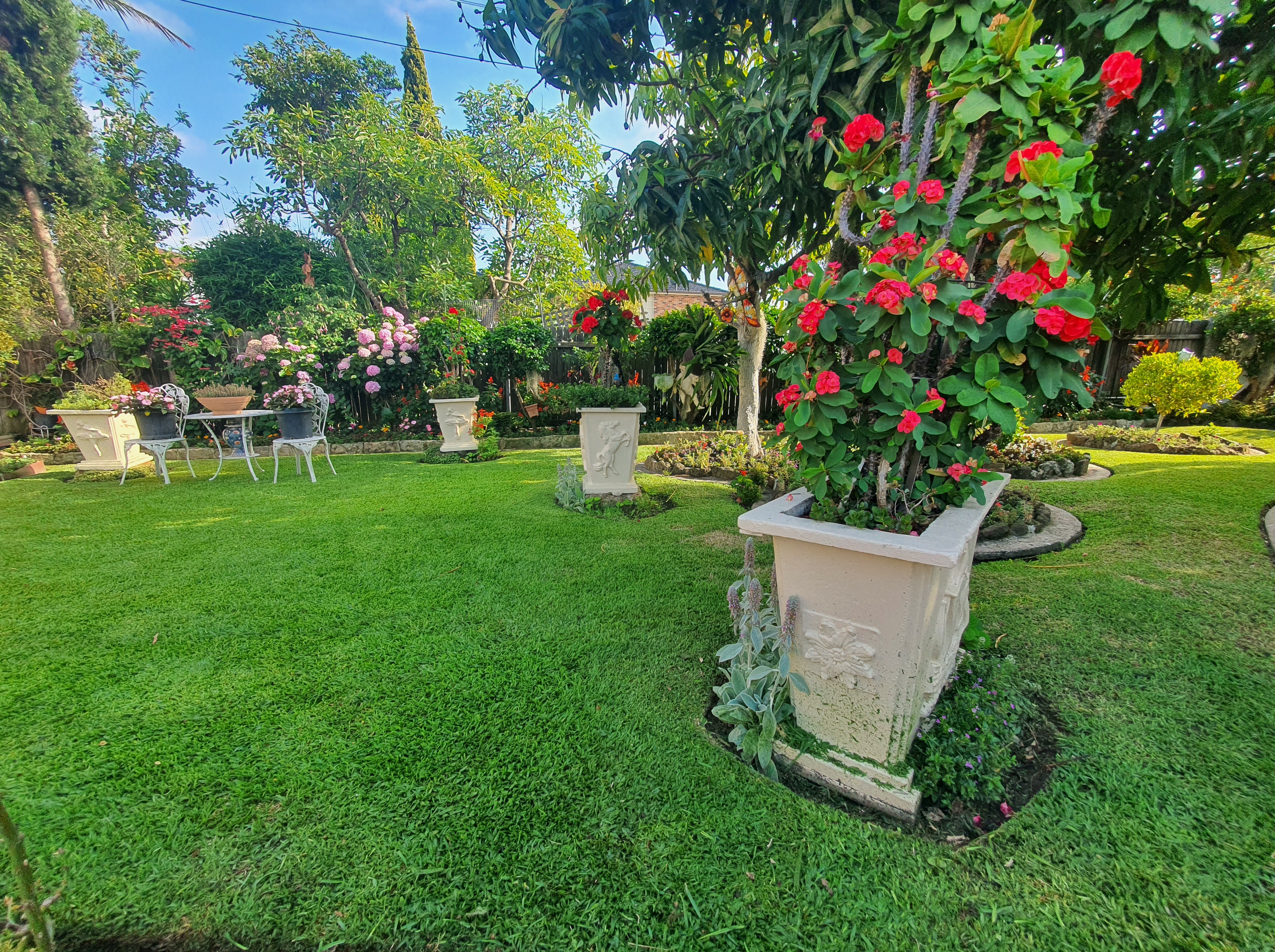Professional Gardening Services