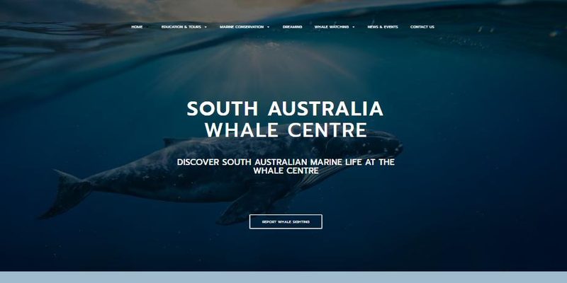 South Australian Whale Centre website, designed by Moshy