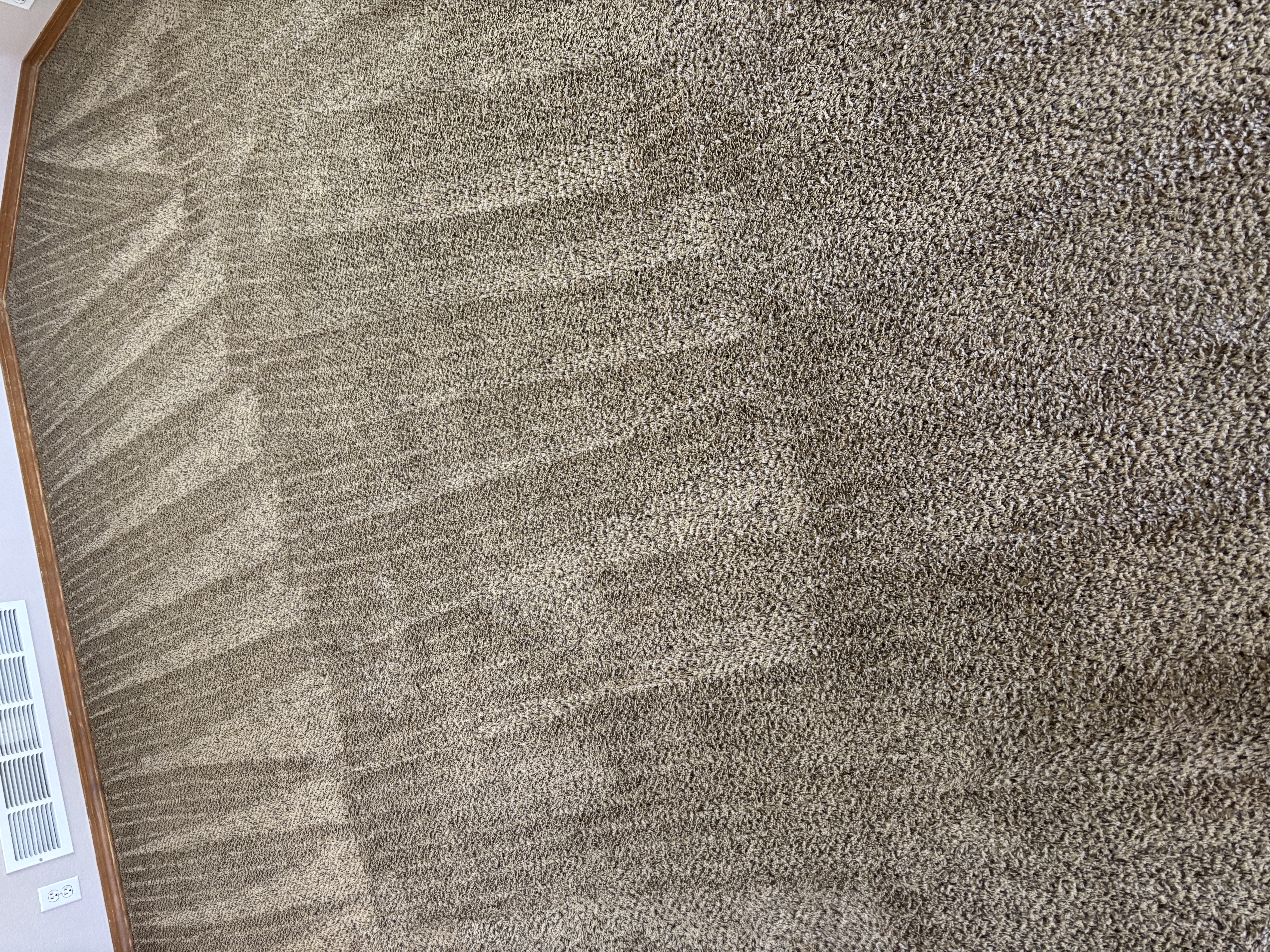 Freshly cleaned brown carpet with visible wand pattern from a Castle Rock hot water extraction job