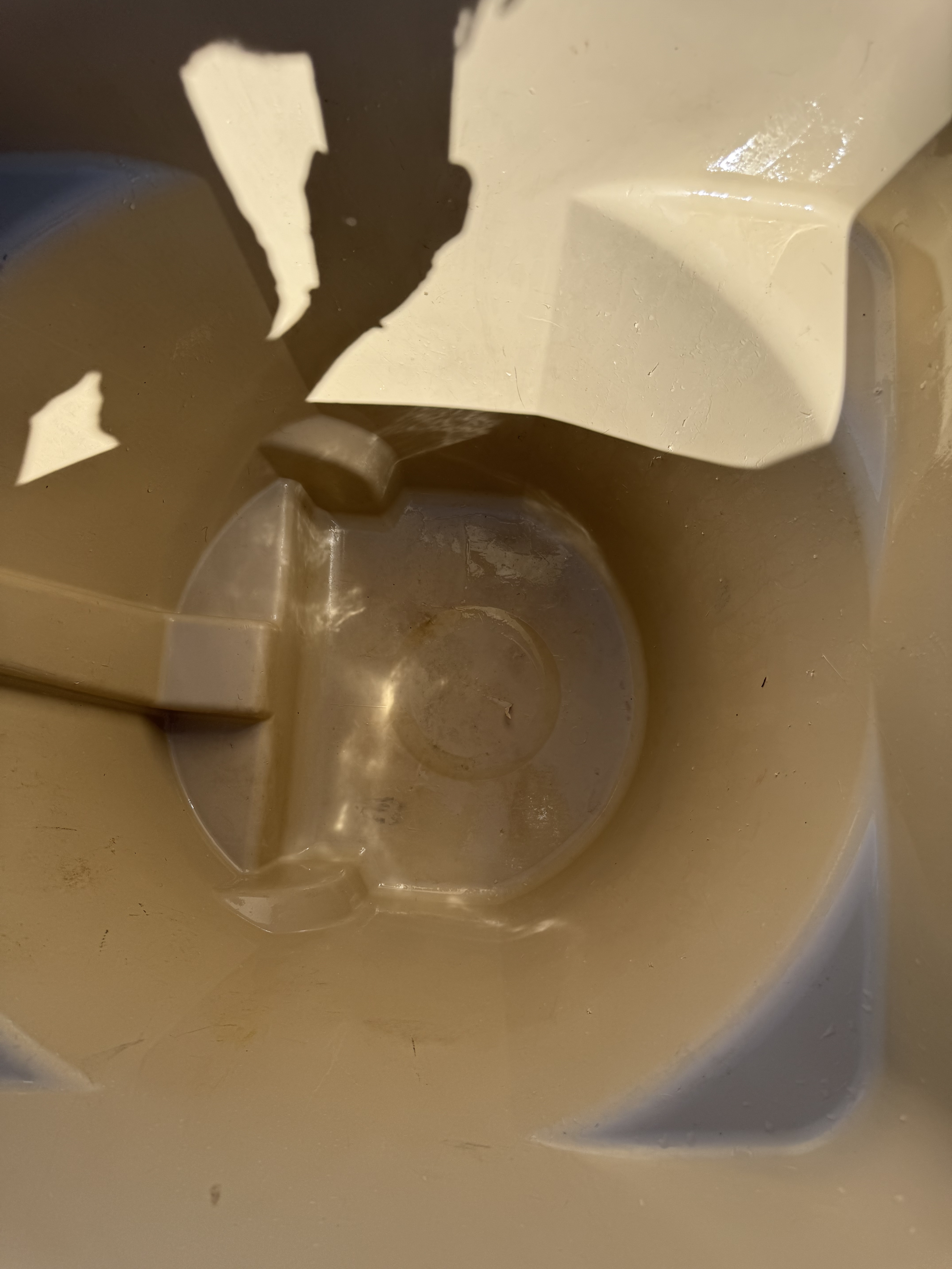 inside of a tan trash can clean