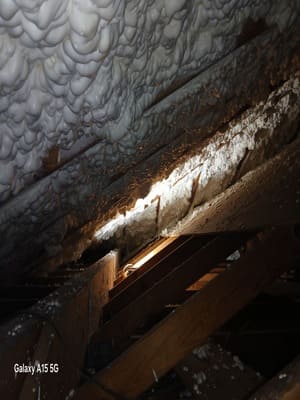 Batt & Blown-In Insulation Removal in Smithville