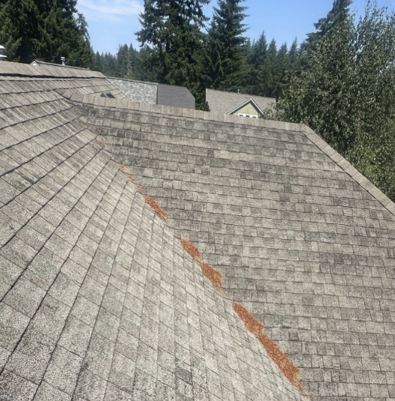 Before roofing photo