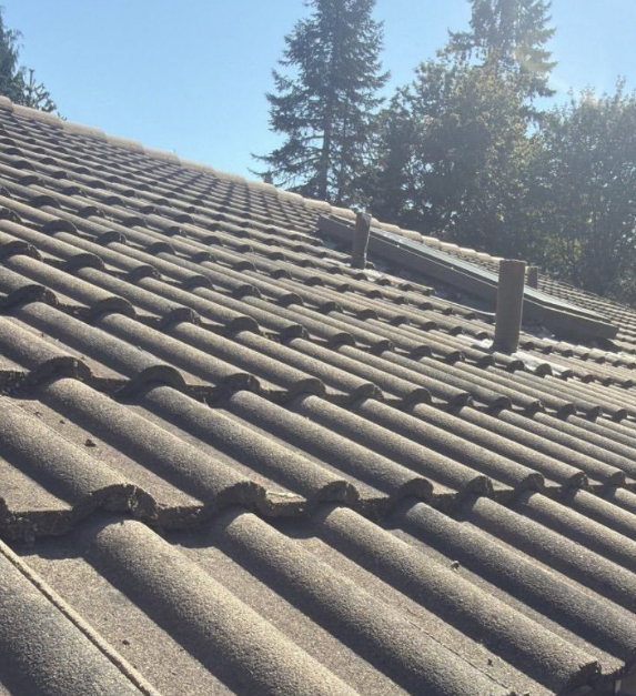 Before roofing photo