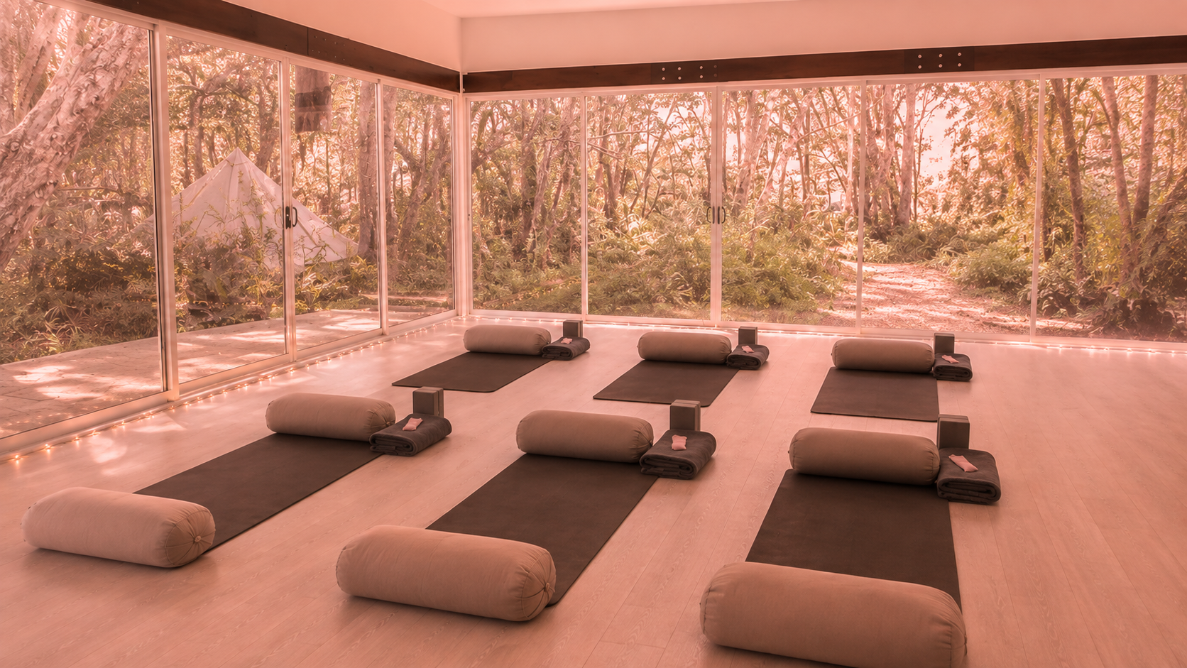 Yoga classes in Tuggerah on the Central Coast