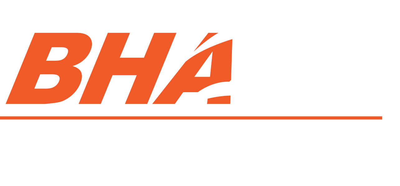 Black Horse Collision