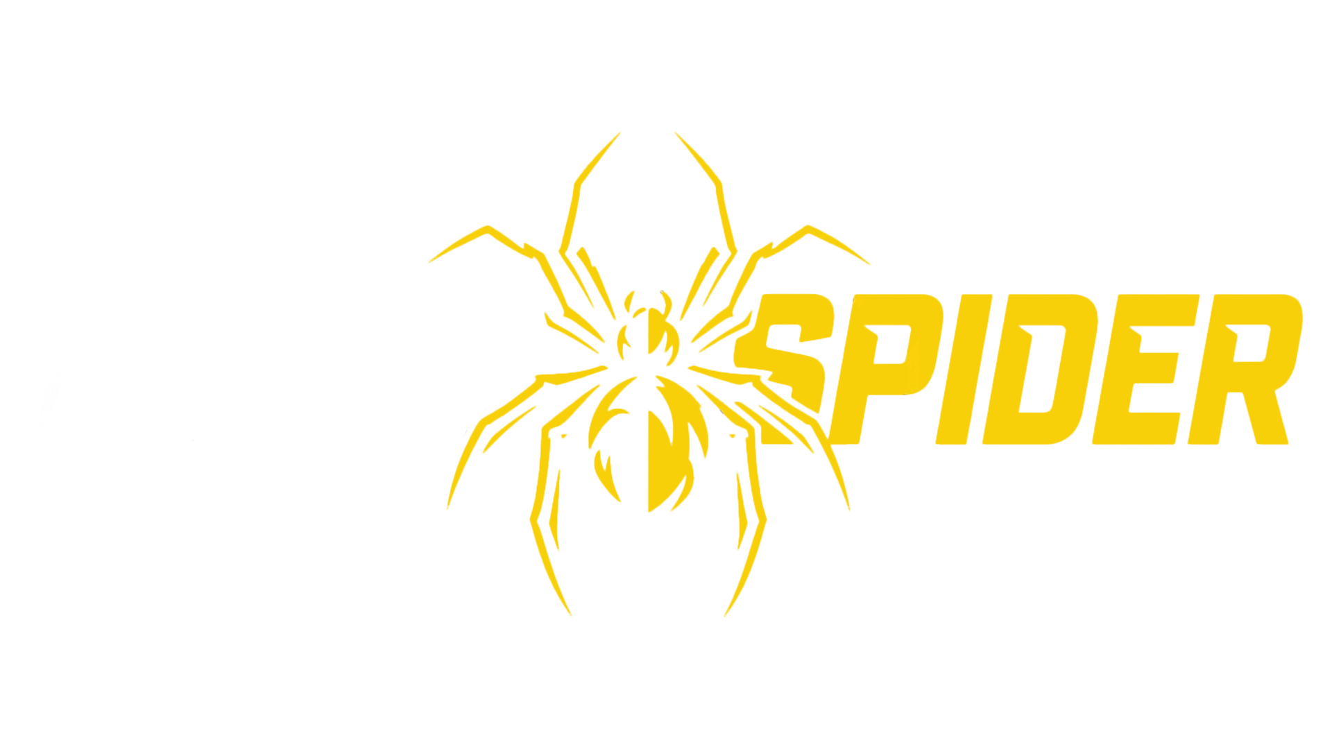 Fight Spider Logo