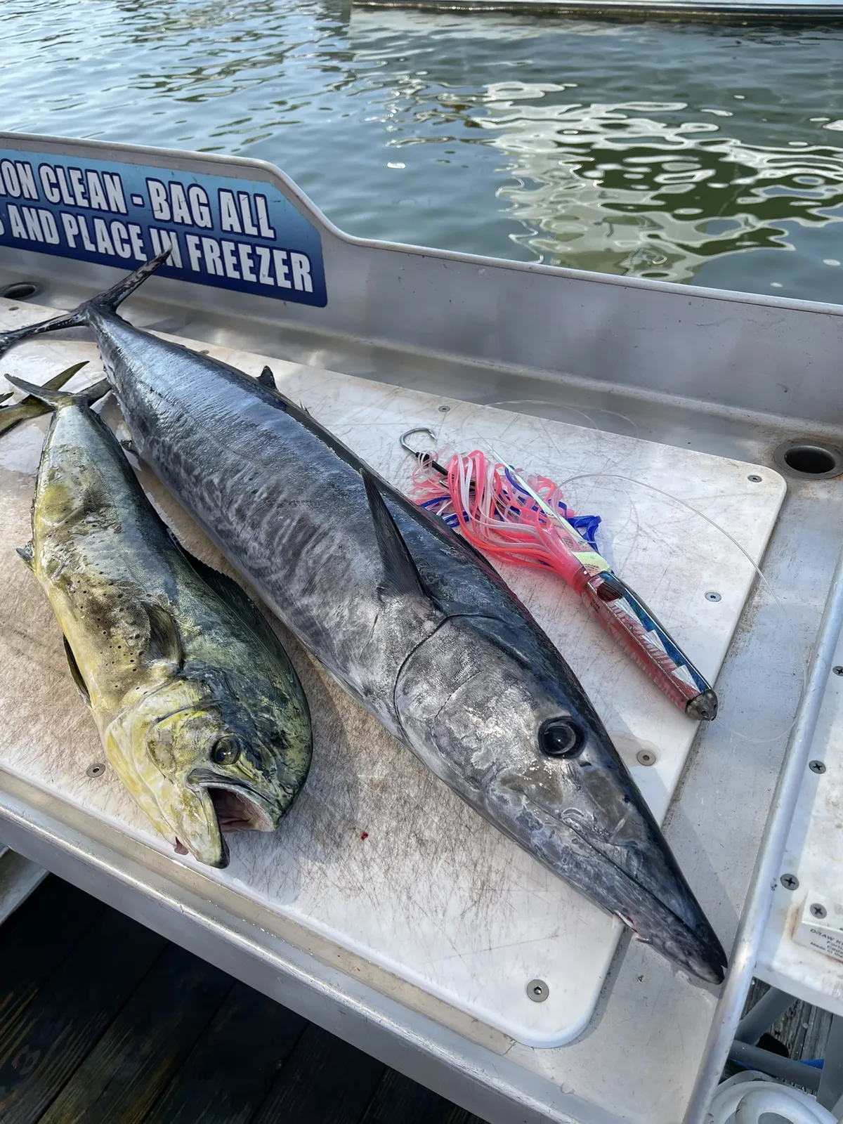 Family fishing photo with multiple snapper on the deck