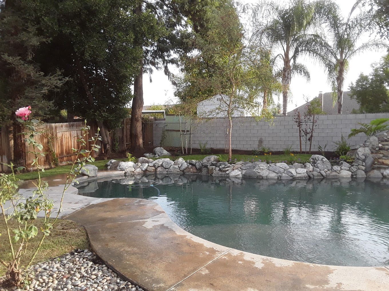 Landscape project 4 in Bakersfield