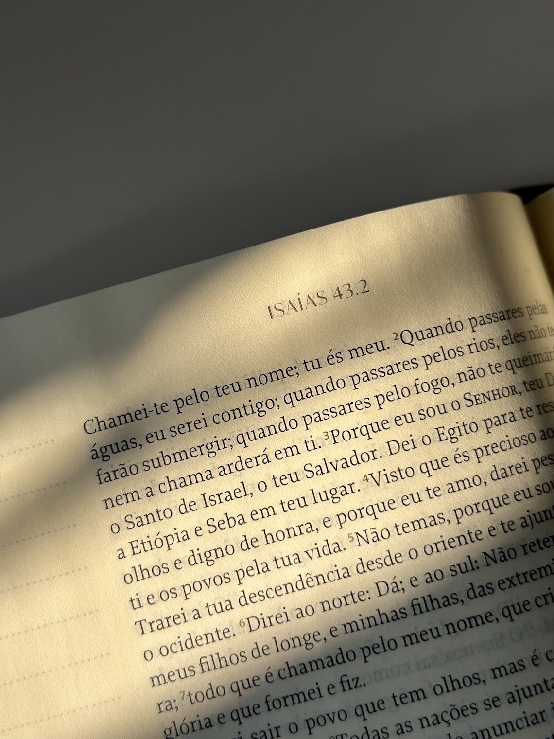 Open book in warm afternoon light