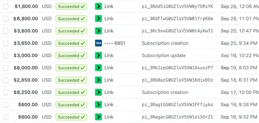 Stripe screenshot, identifying details hidden